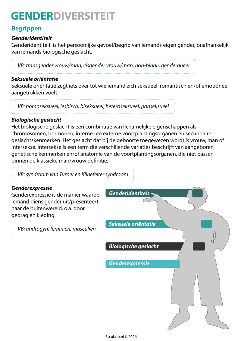 genderdiversiteit